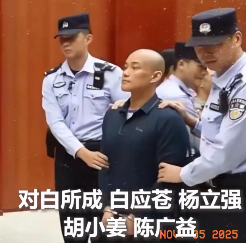 白应苍被宣判死刑时，

依旧是昂首挺胸，毫无悔意，

面部表情也没有任何变化，仿