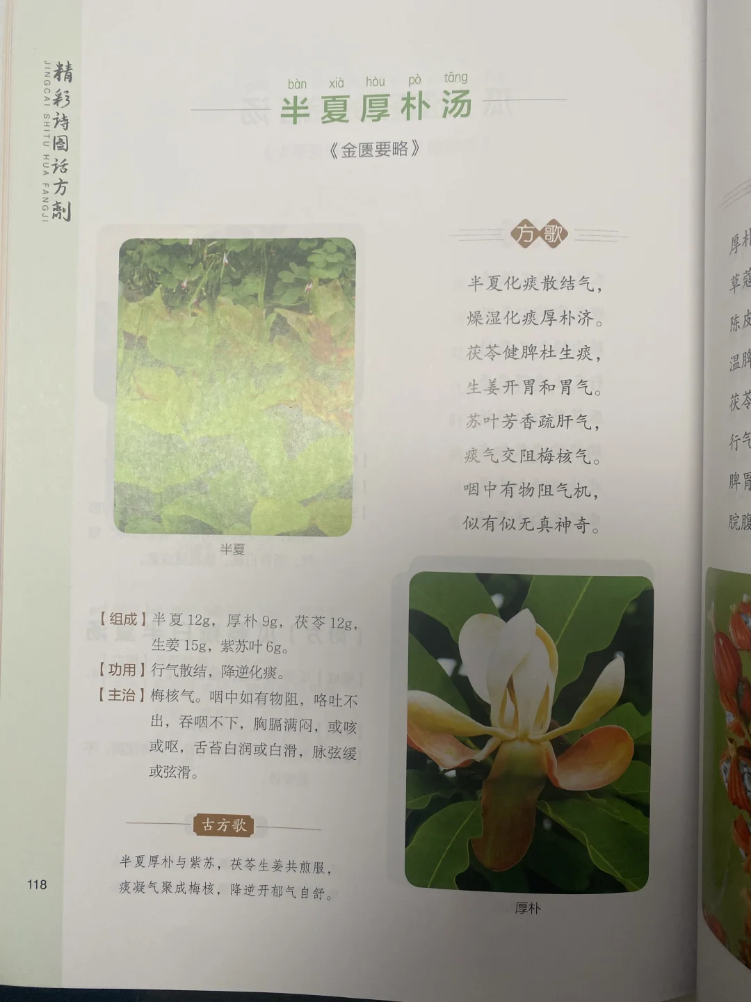 中医方剂入门看什么书？看它就对了‼️