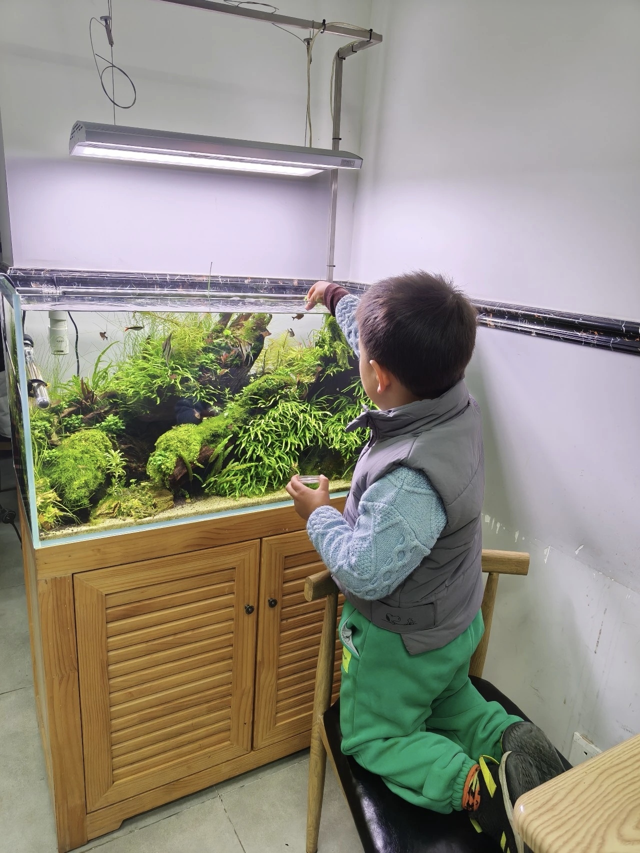 餐饮店里的草缸