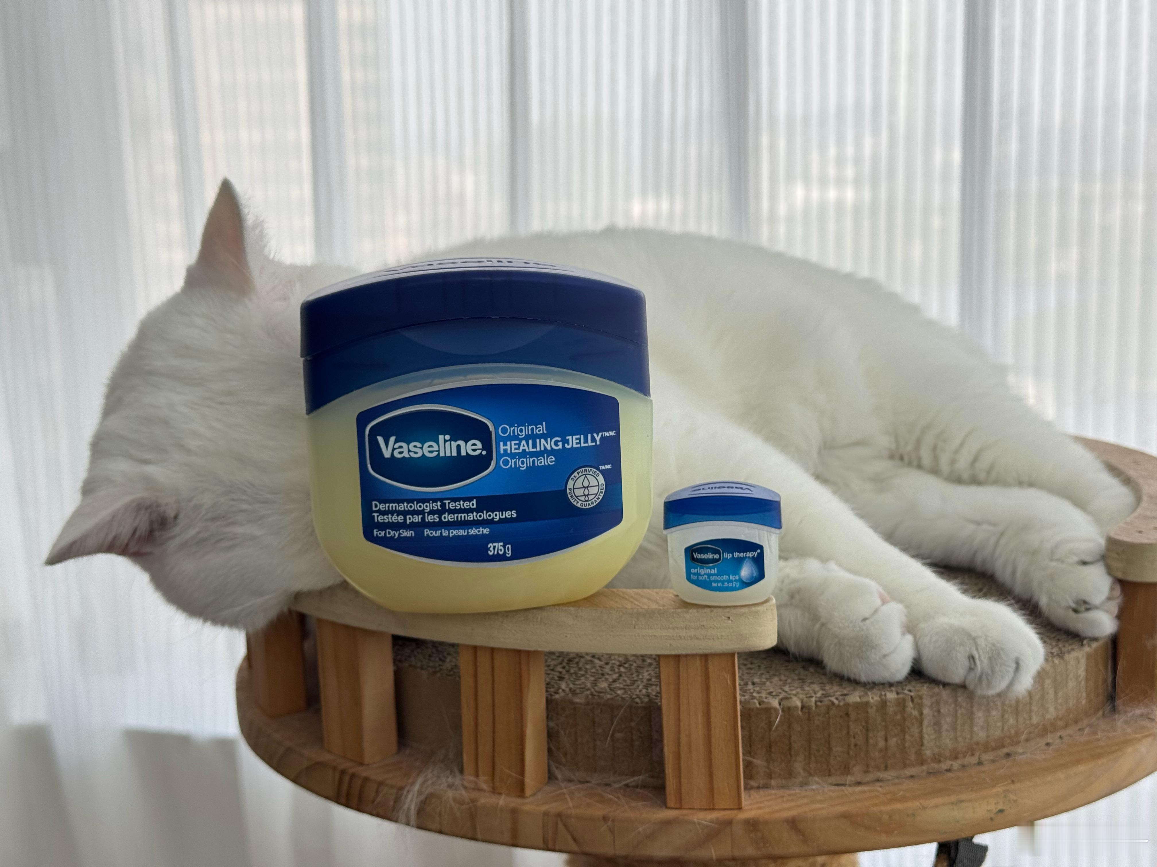 买凡士林的时候忘记看克数了...结果收到这么大！！！这得用到猴年马月