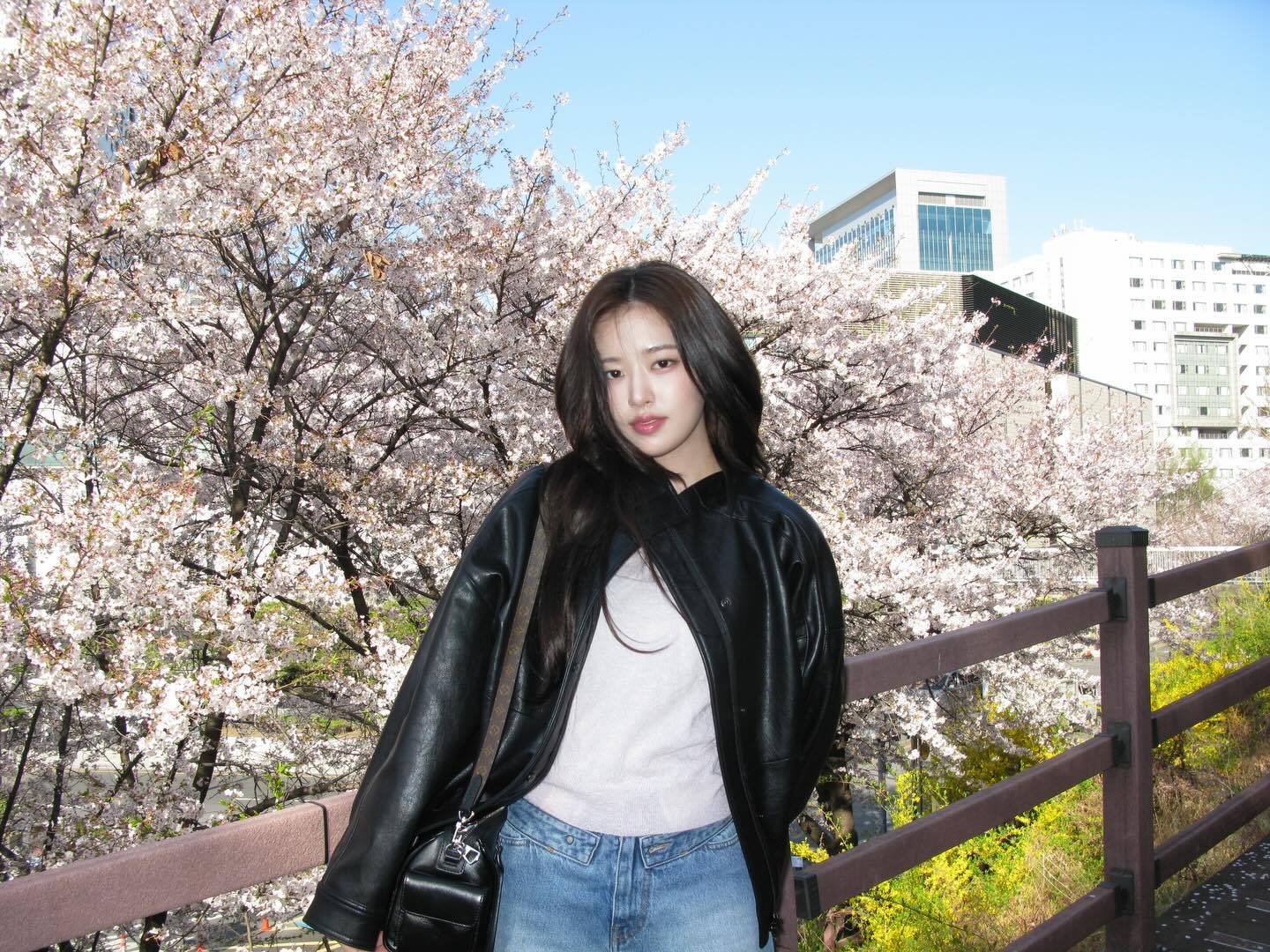 安宥真 🌸正是赏樱的季节 