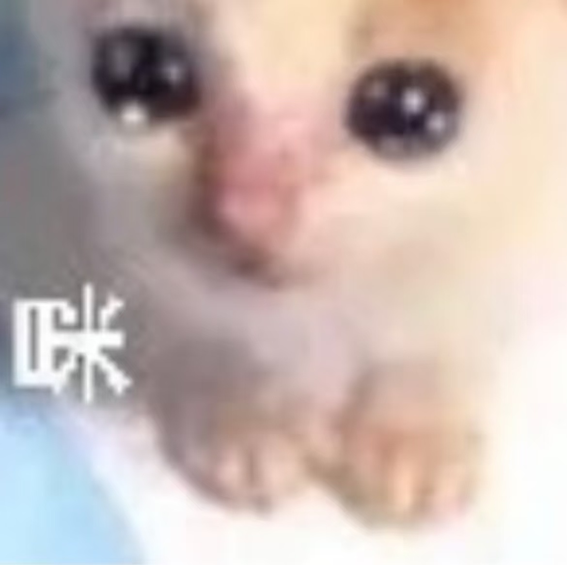 我现在最需要的是秦彻的拥抱 