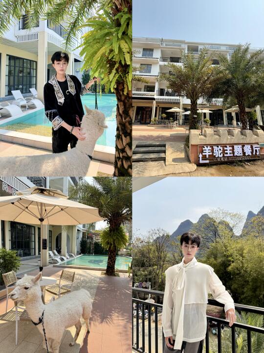 阳朔｜遇龙河畔的宝藏羊驼🦙酒店‼️‼️