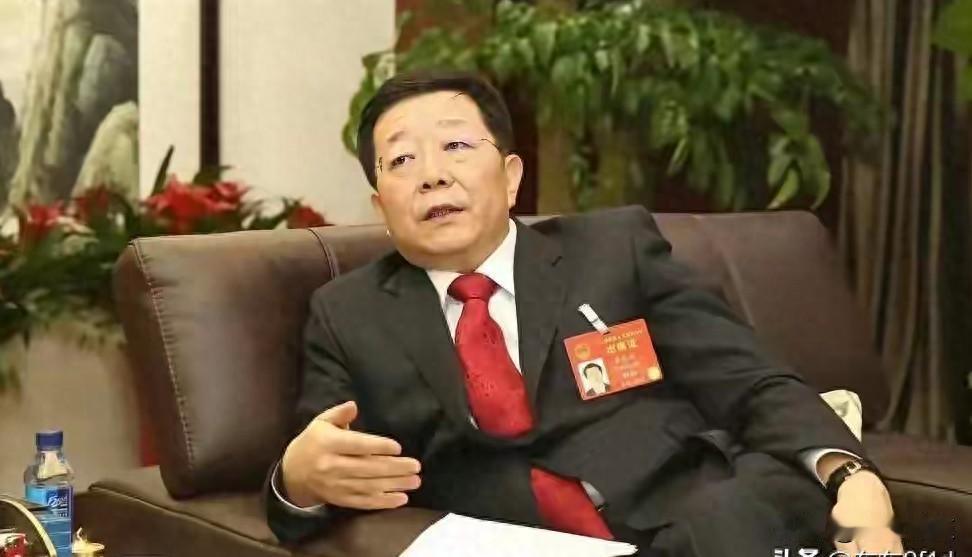 首富被拘了，200亿都是假的，普通人钱去哪了。
嘉麟杰2月13号晚上发了个公告，