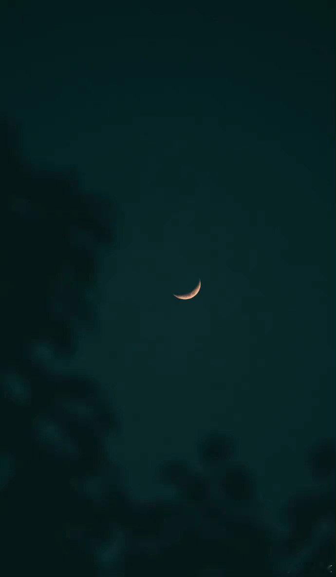 我们好像在池塘的水底，从一个月亮走向另一个月亮。 ——王小波   