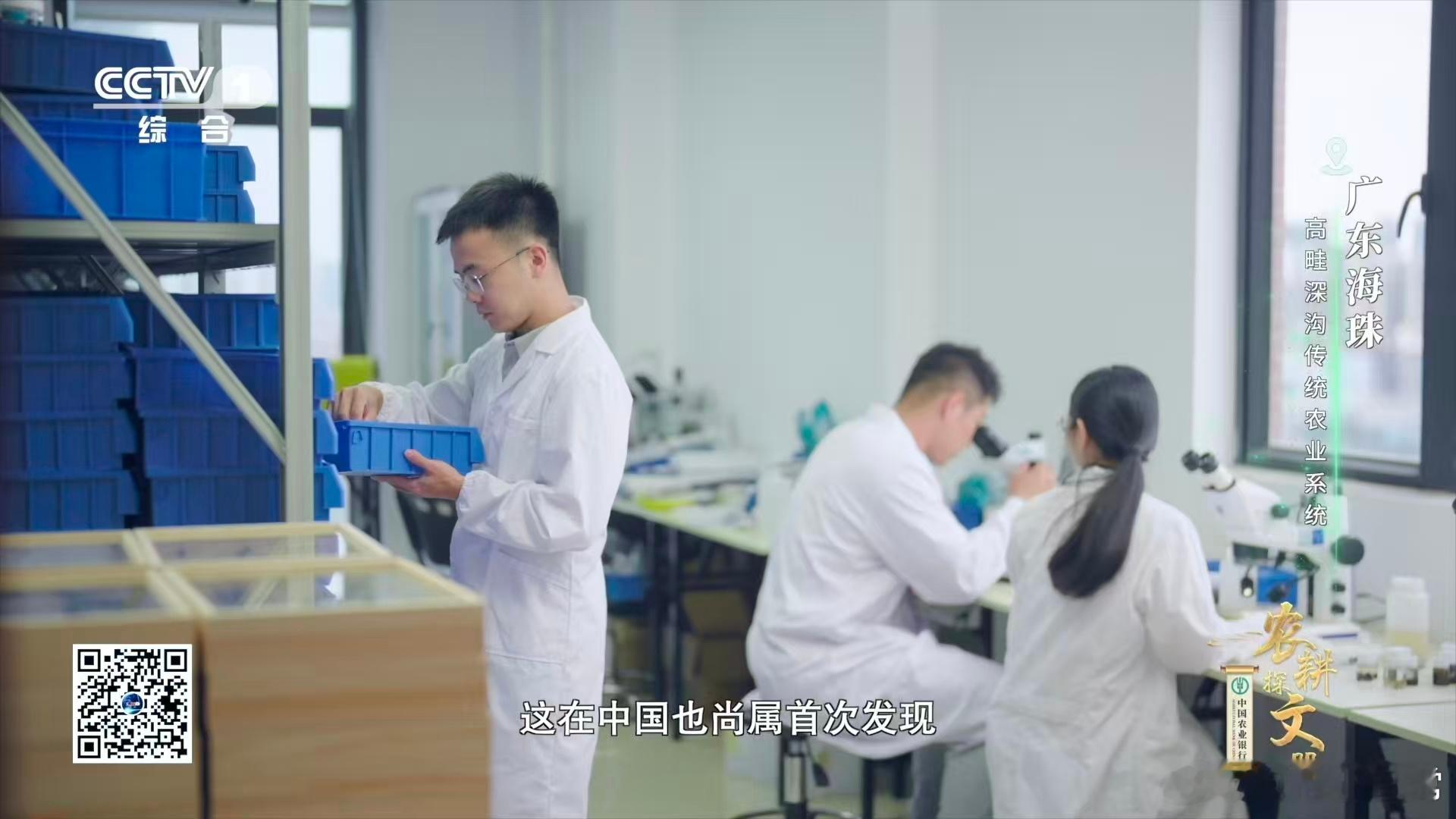 广东近年发现多个新物种 海珠高畦深沟藏着生命惊喜！全球新物种海珠微瓢虫在此现身，
