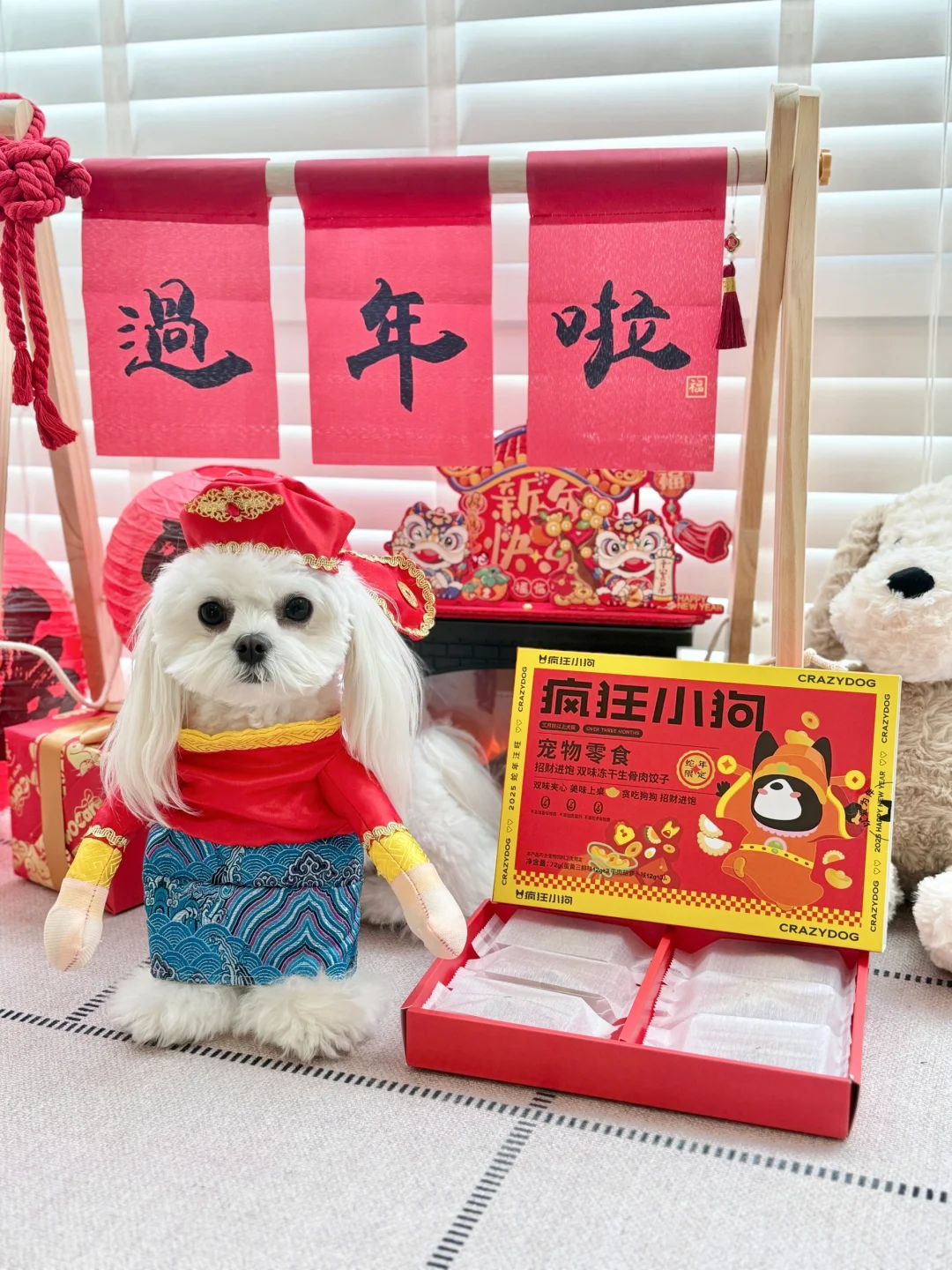 小狗过年又吃饺子咯~