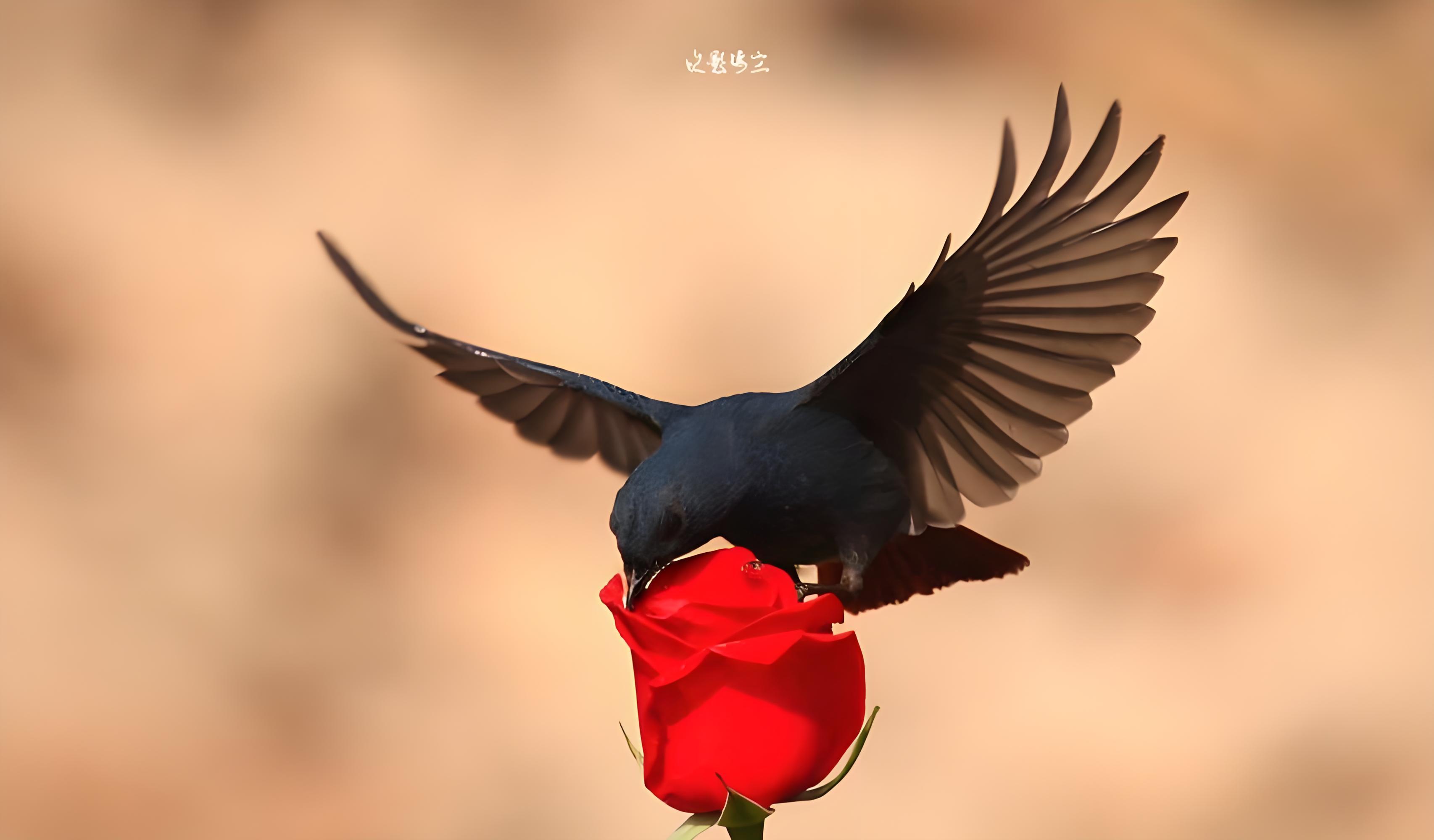 你说要走的时候，我默默转过身。强忍住眼泪，执手相看泪眼，竟无语凝噎，或是这般滋味