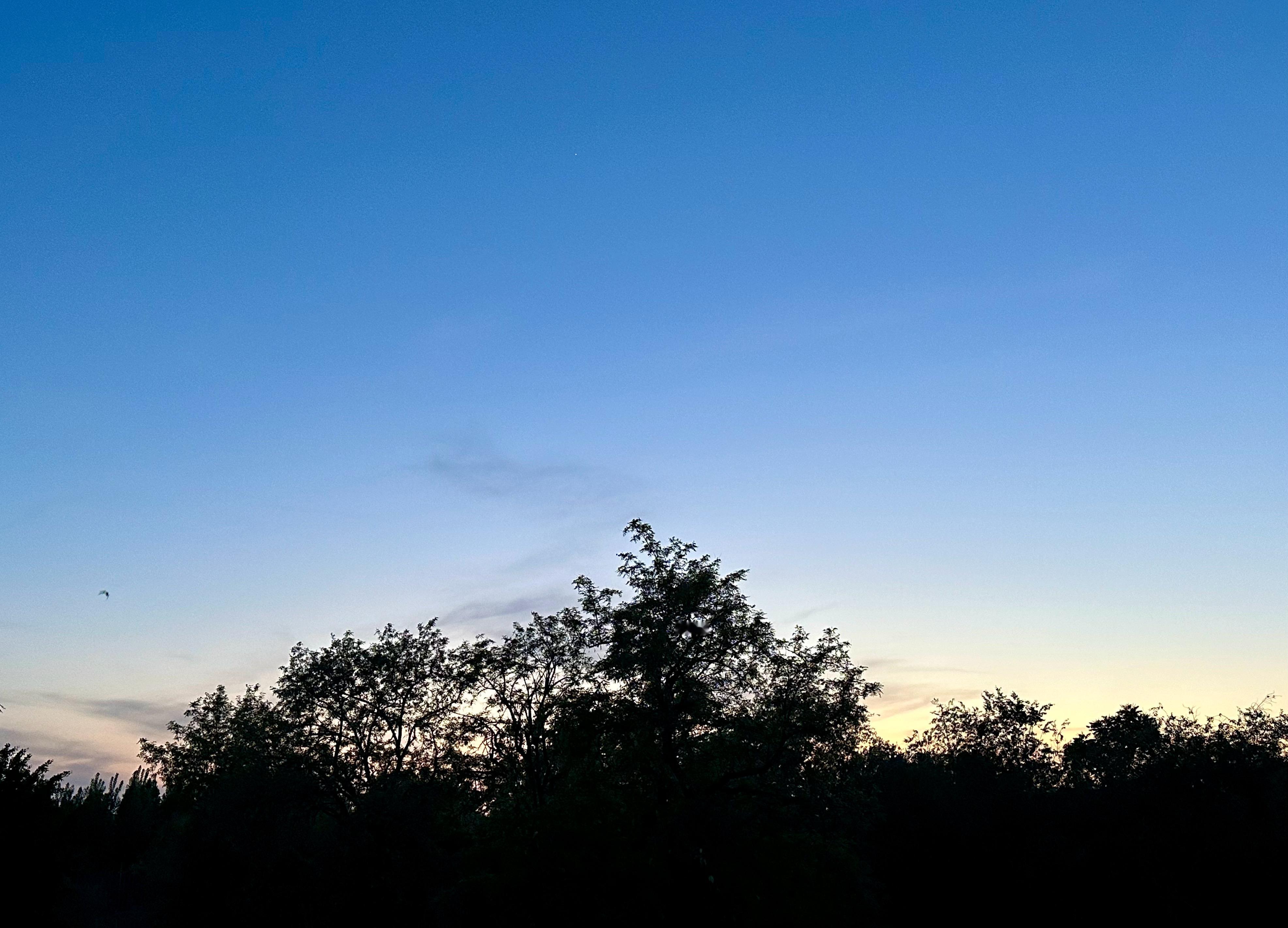 故乡的蓝调时刻🌄 ​​​