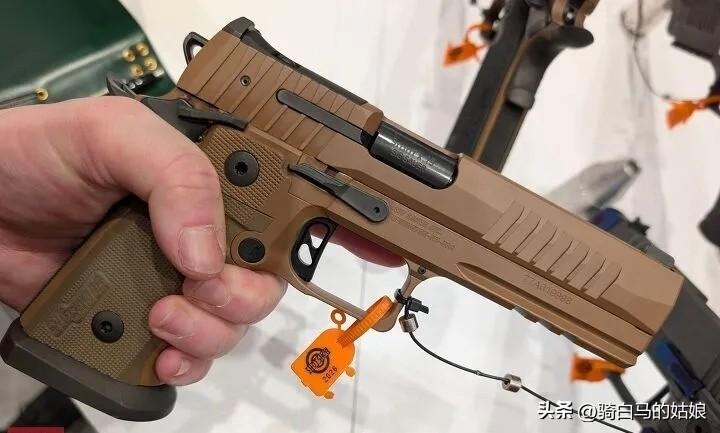 西格绍尔 P211