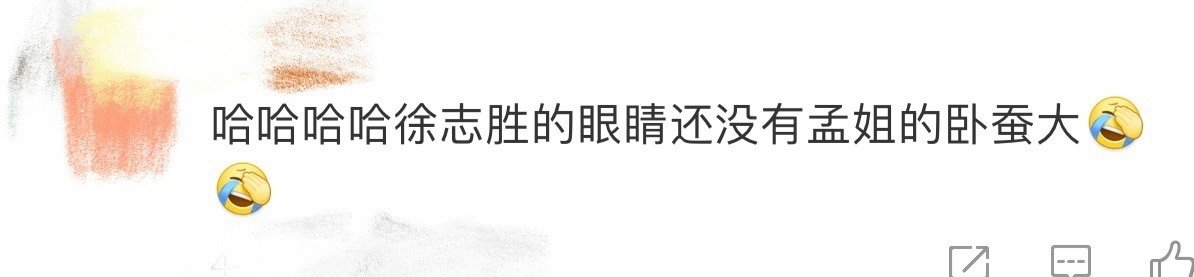 #孟子义回应徐志胜眼睛没有卧蚕大#萌探2024已经成为了很多粉丝的期待，我也是其