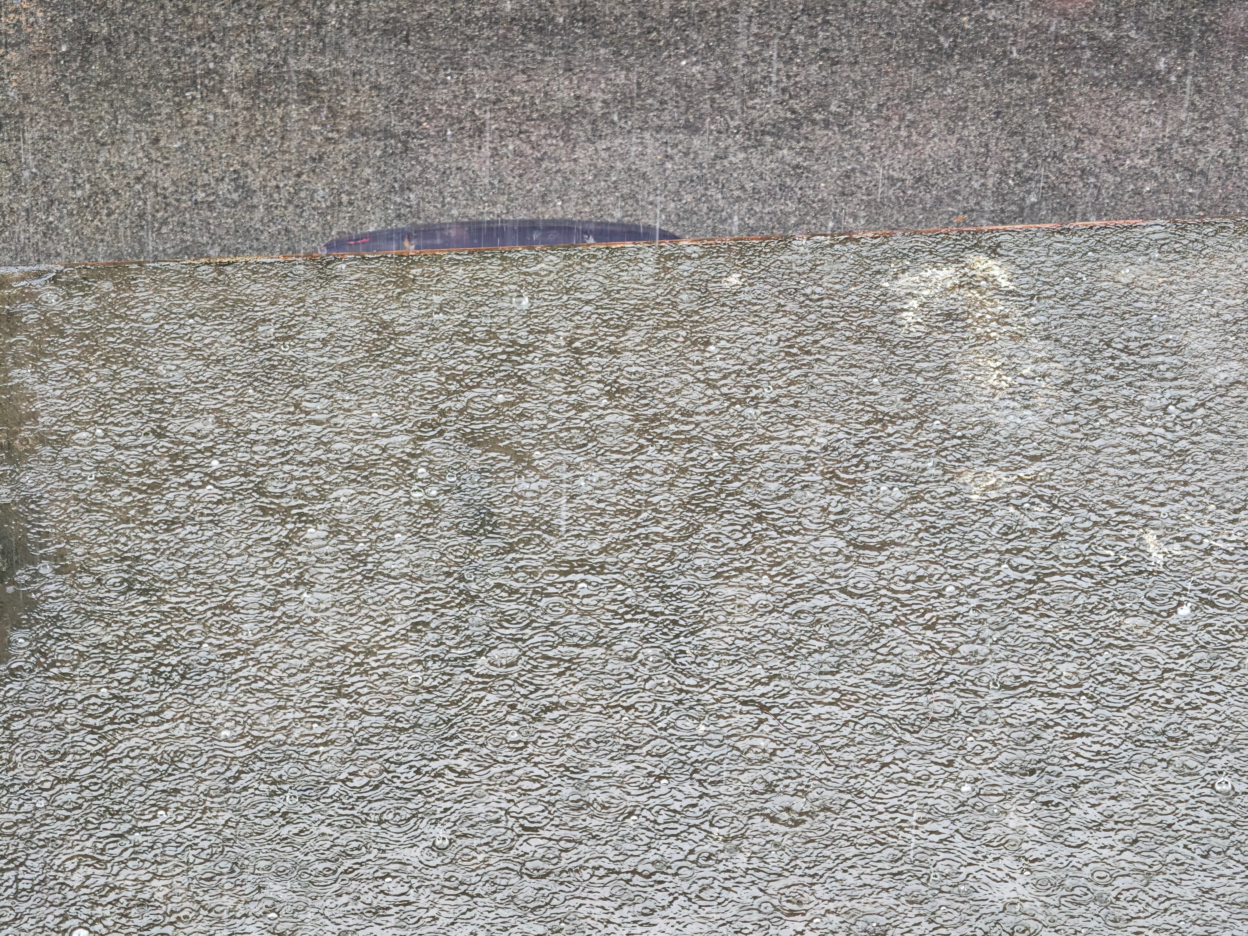 深圳暴雨又是大暴雨[裂开] ​​​