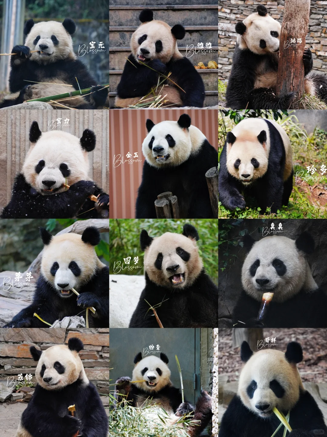 8.4祝今天生日的熊熊生日快乐✨