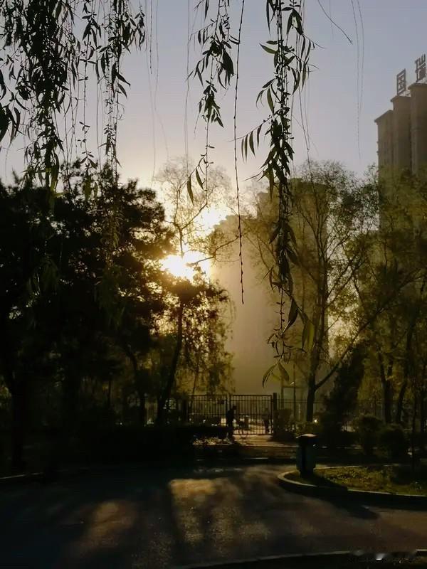 拾灵记·晨

天刚亮的时候，风是软的，露是凉的。
不必急着赶路，也不必忙着欢喜。