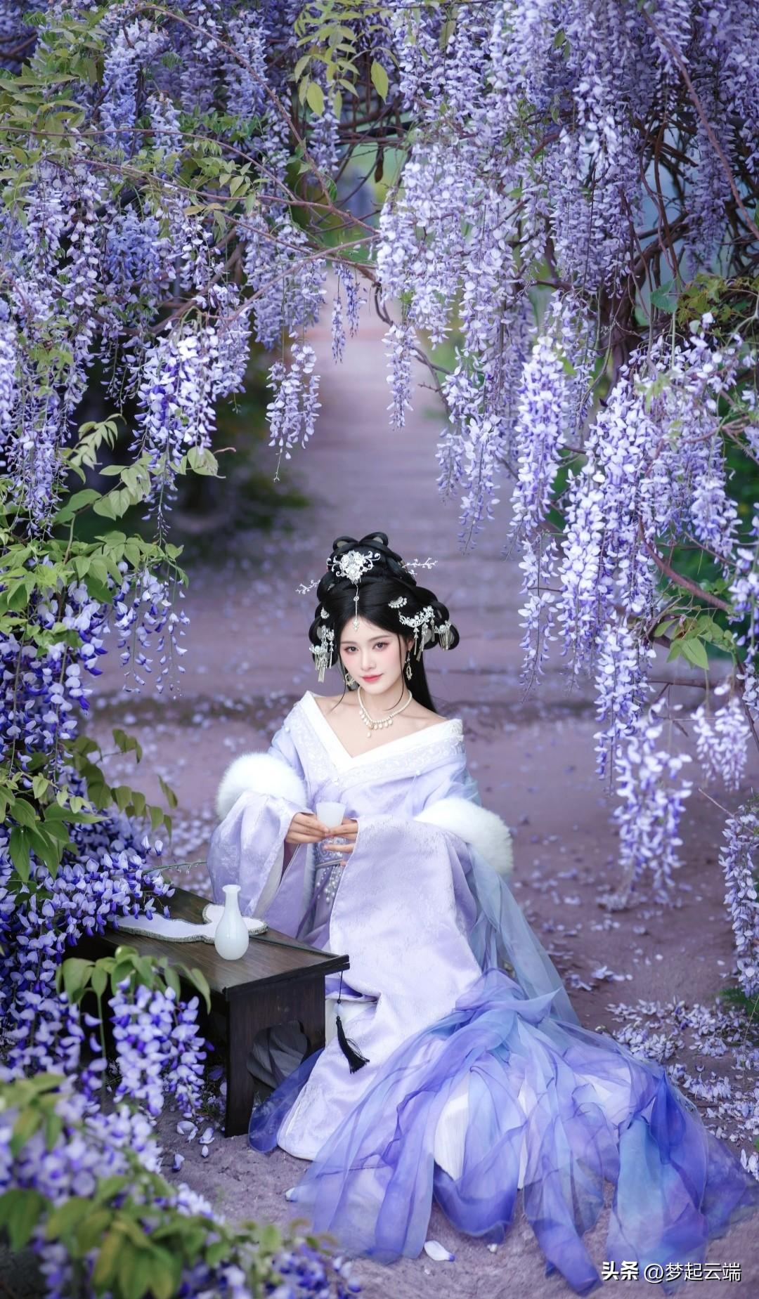 仙气飘飘的蓝紫色花海中，古风美人静坐品茗，宛如画中仙境。