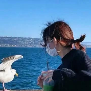 海边偶遇白鸽，一起喝个清凉的饮料吧！