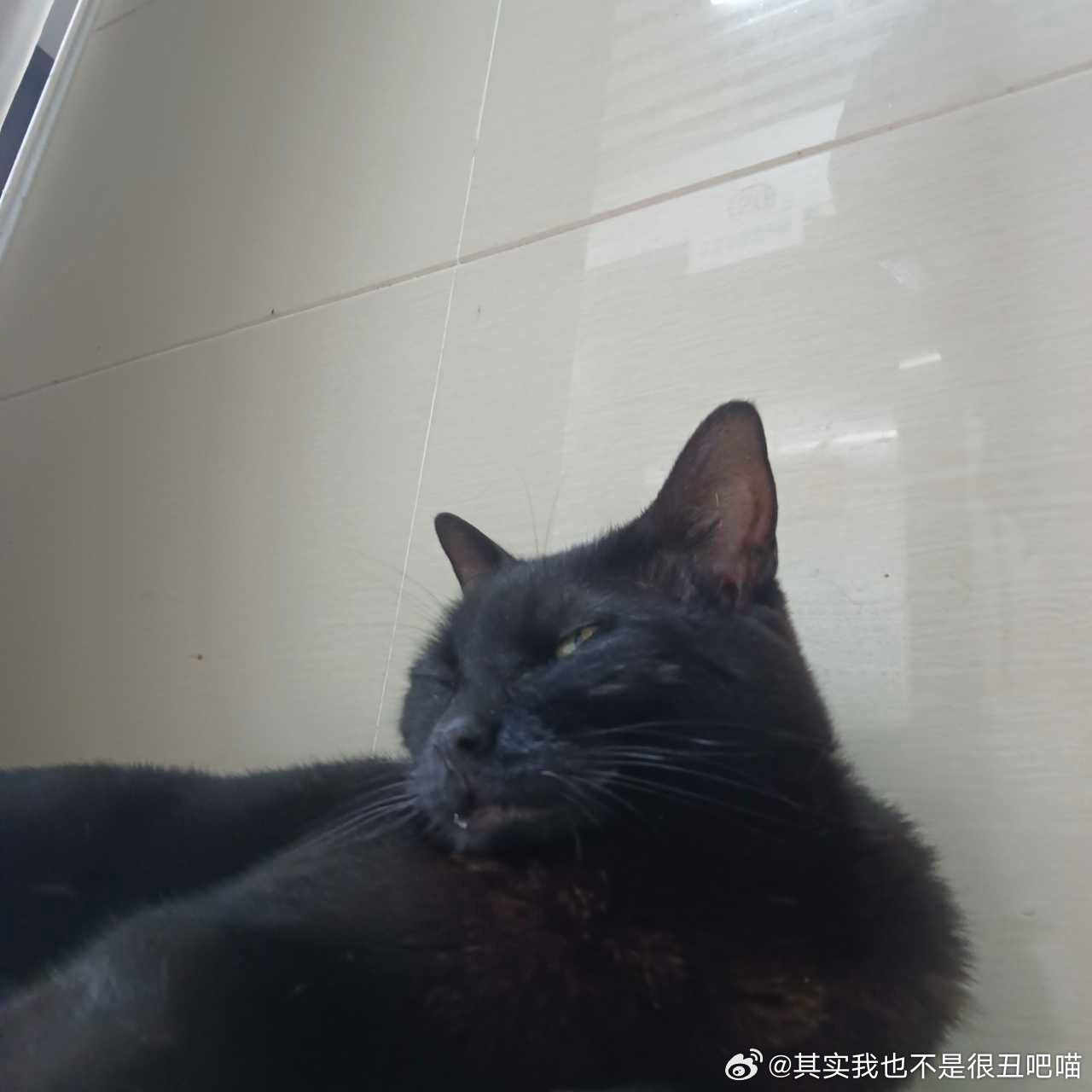 59532【丑猫】偷拍睡颜被发现后扭头，从而进一步展示多角度 