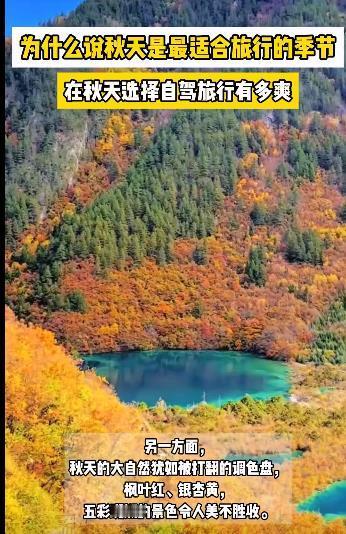 #为什么说秋天是最适合旅行的季节#秋天是一个色彩斑斓的季节，金黄的落叶、火红的枫