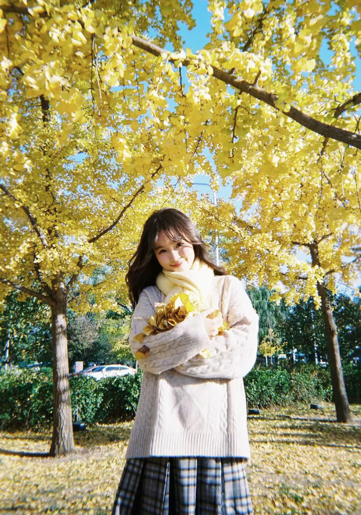 总以为时间很慢 可转眼又是一年秋🍂