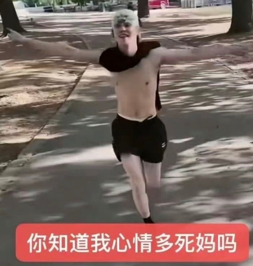 分享图片 
