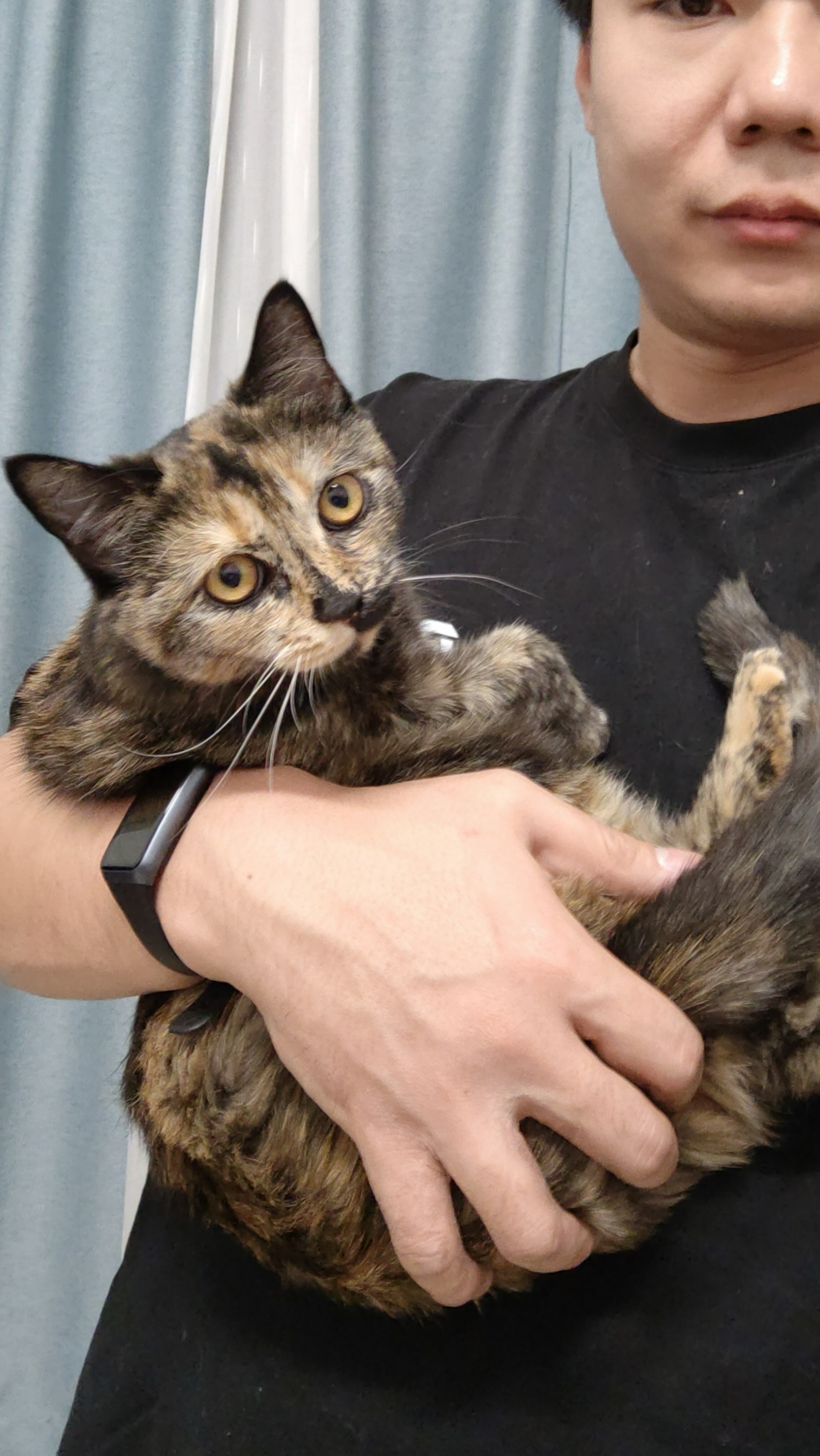 9天没见，这猫大了一圈 ​​​