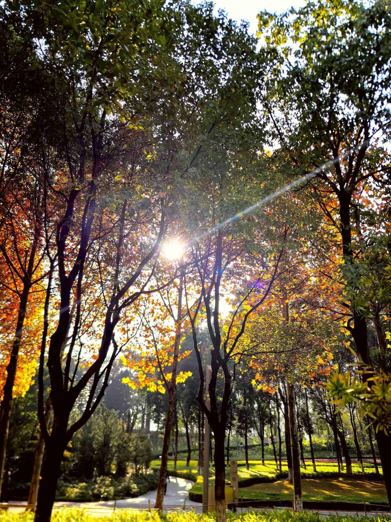 我的今日状态：😁轻松愉快
我这里的天气：☀️晴天