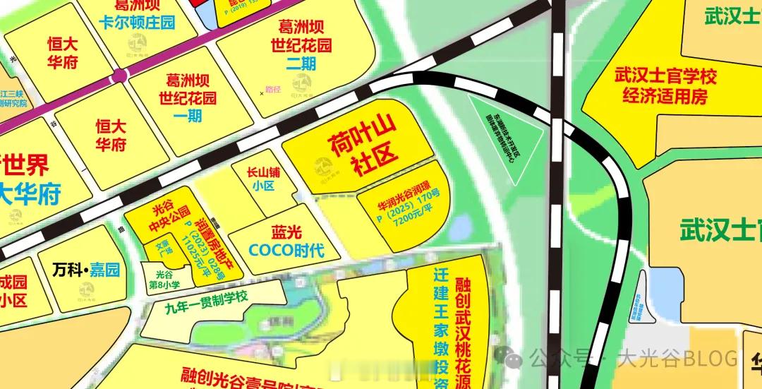 光谷荷叶山｜华润 P (2025) 170 号二期规划批前公示，两期完整轮廓浮出