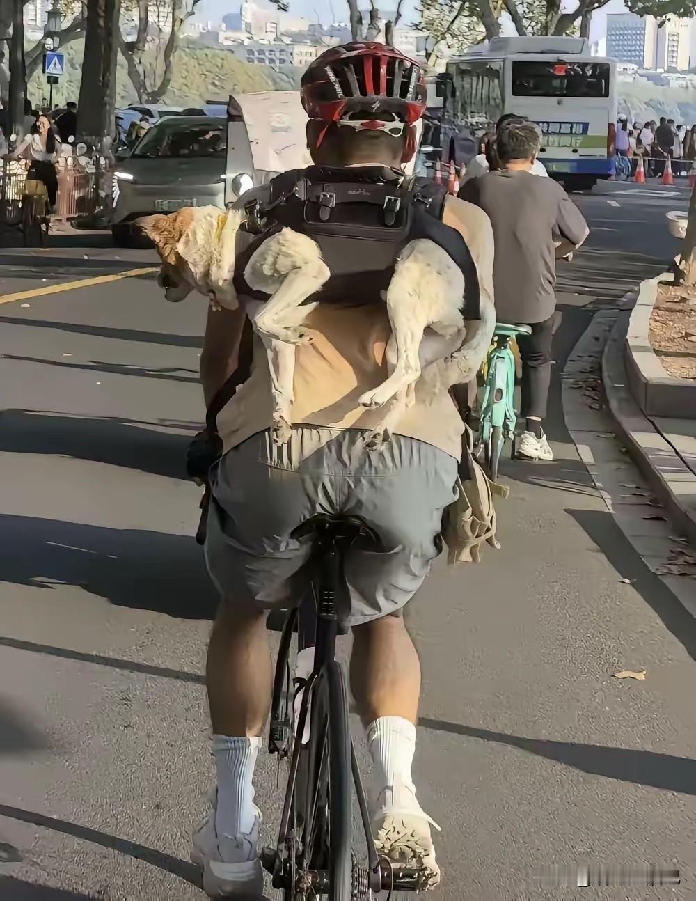把狗子放在地上，它自己会跑的嘛[捂脸]