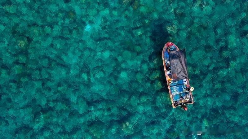 美军南海坠机真是因燃油质量不好吗 美军“尼米兹”号航母在南海连发两起坠机事故，特