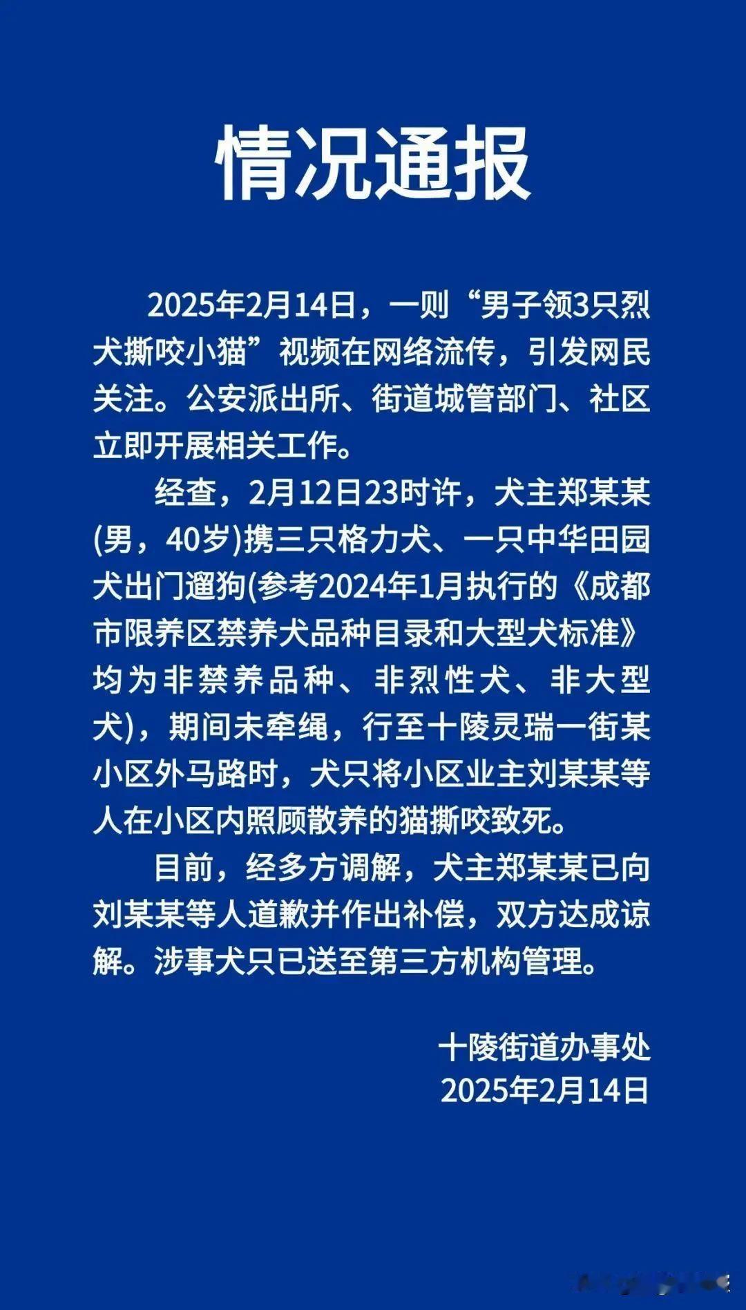 备受瞩目的“成都男子携三犬撕咬小猫”事件有了官方回应。2月14日，成都龙泉驿区十