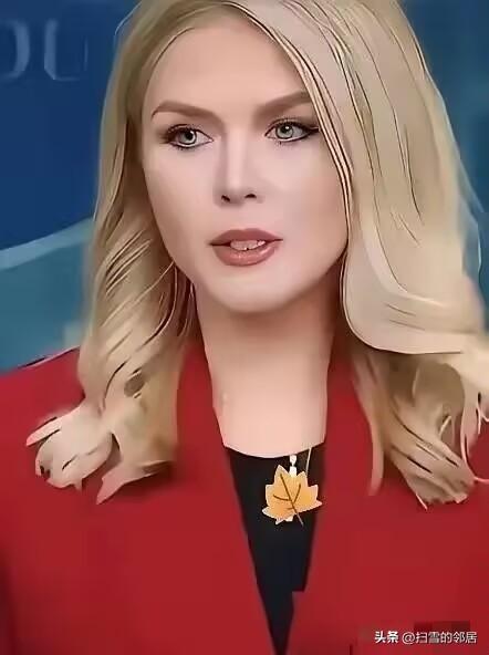 美国白宫宣布
2026年3月31日，美国白宫新闻秘书莱维特宣布了一个重要消息，她