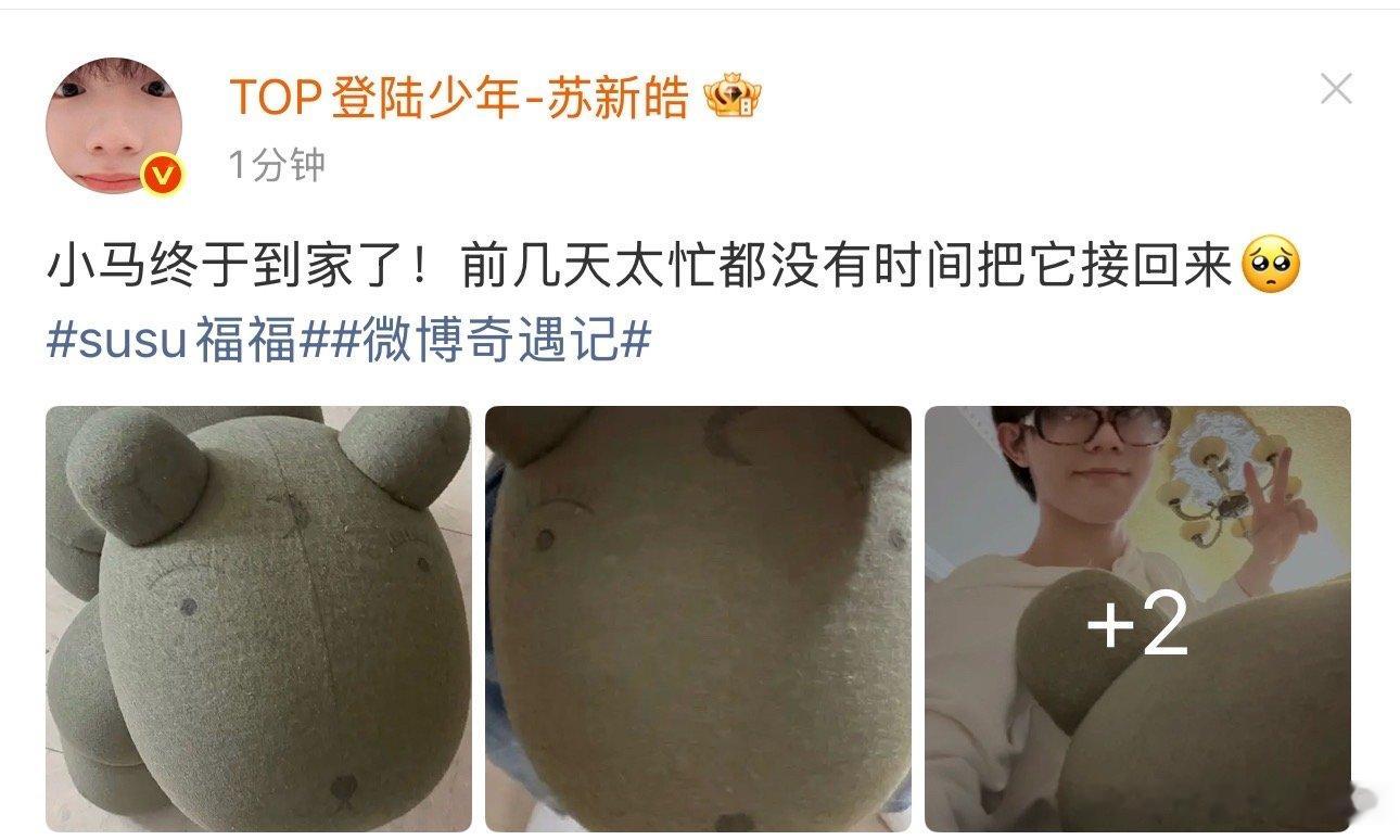 苏新皓把小马接回家哈哈哈哈哈过苏新皓的小马终于接回家了 