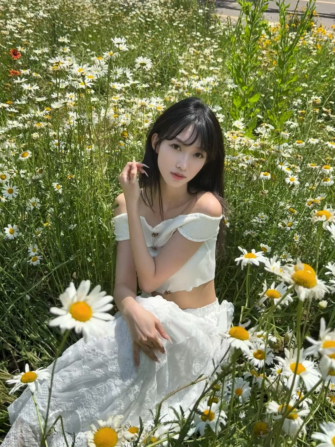 省流：两个人突然在36度的下午两点跑去拍大滨菊热的要死之际在公园里遇到的爱摄影的