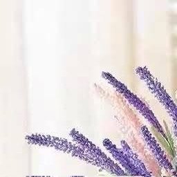 阳光信用  生活是平淡的,犹如蓝天下碧蓝的湖水.生活也可以是诗,在一路的奔腾中高