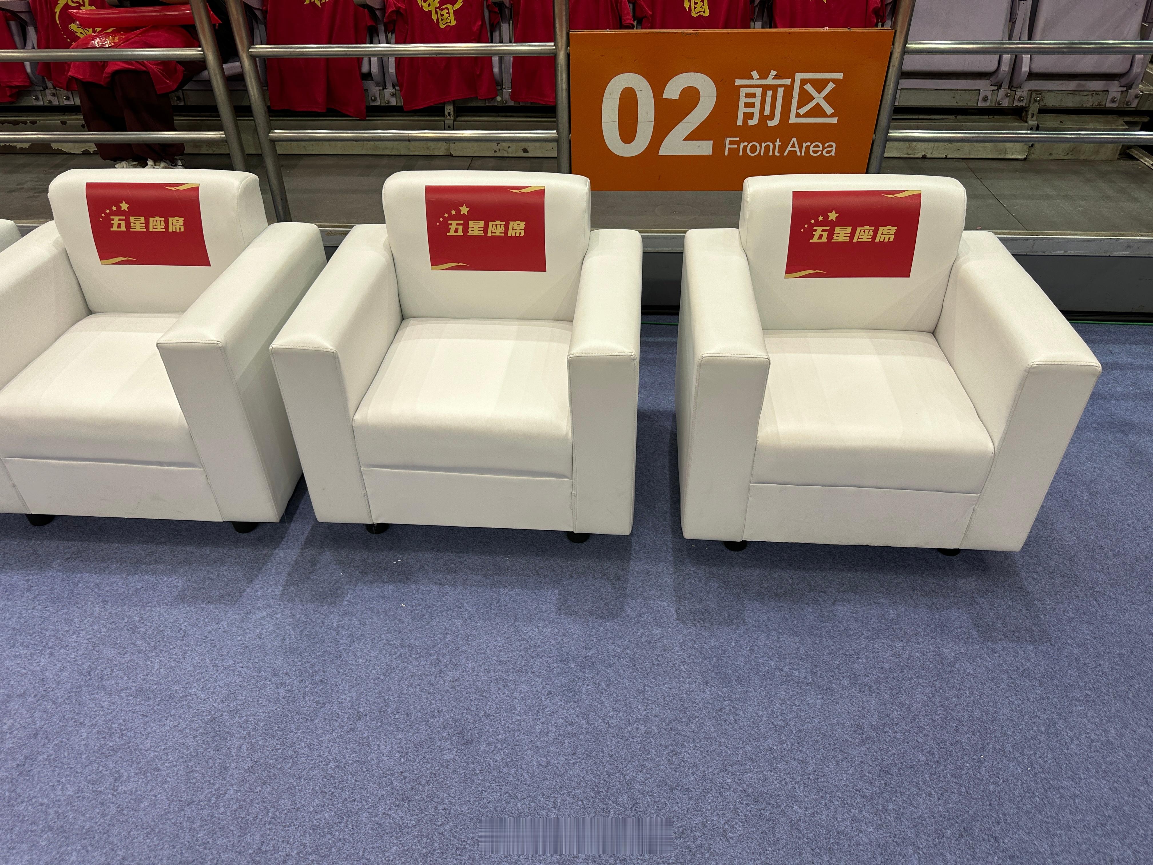 中国男篮vs波黑男篮五星座席[嘻嘻]  ​​​