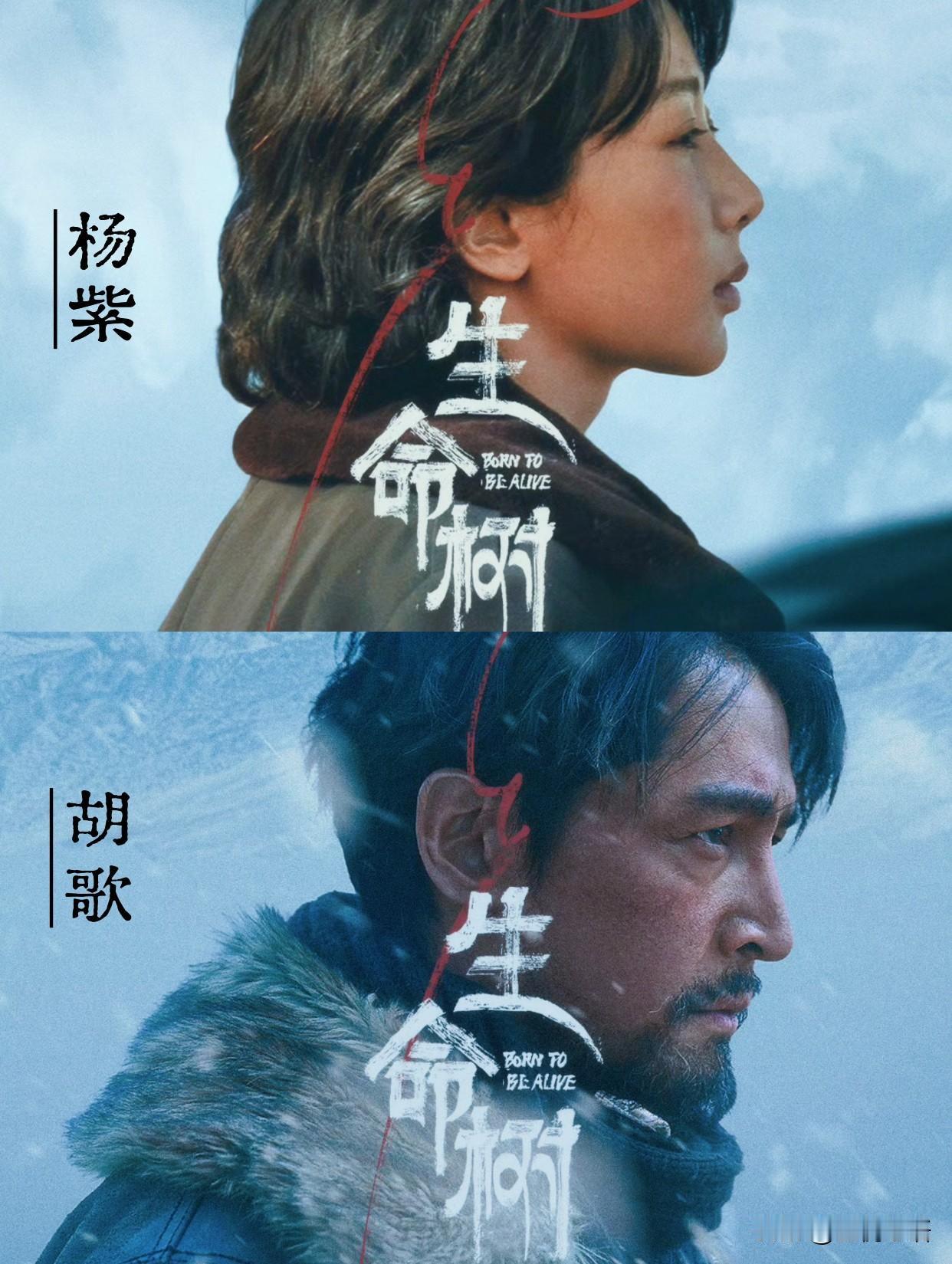 内娱终于敢拍这种真实英雄了！
胡歌和杨紫的新剧《生命树》，
直接把我看破防了。
