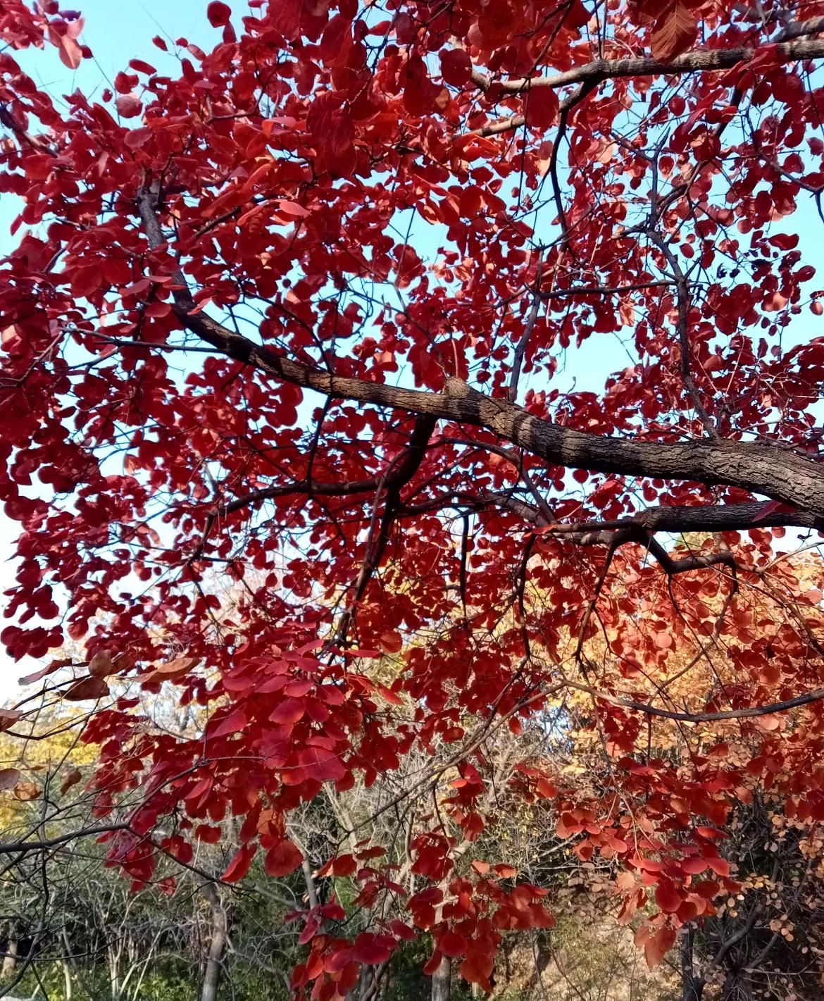 在办公室工作的人员往往精明强干，外形也较为出众。办公室作为单位对外联系的窗口，同