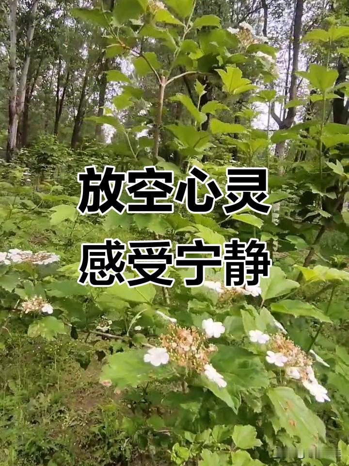 人过六十了，有时突然就不明原因的很沮丧，不知道是过往的经历，还是生活中的不如意。