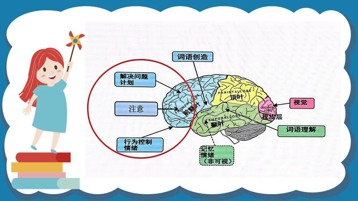 执行功能是指个体在实现特定目标或者完成任务时，以灵活优化的方式控制多种认可加工过