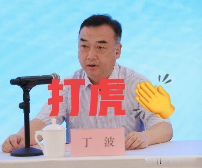 这事儿闹的，
就在刚刚，看“红星新闻”，江苏棋院副院长丁波接受纪律审查和监察调查