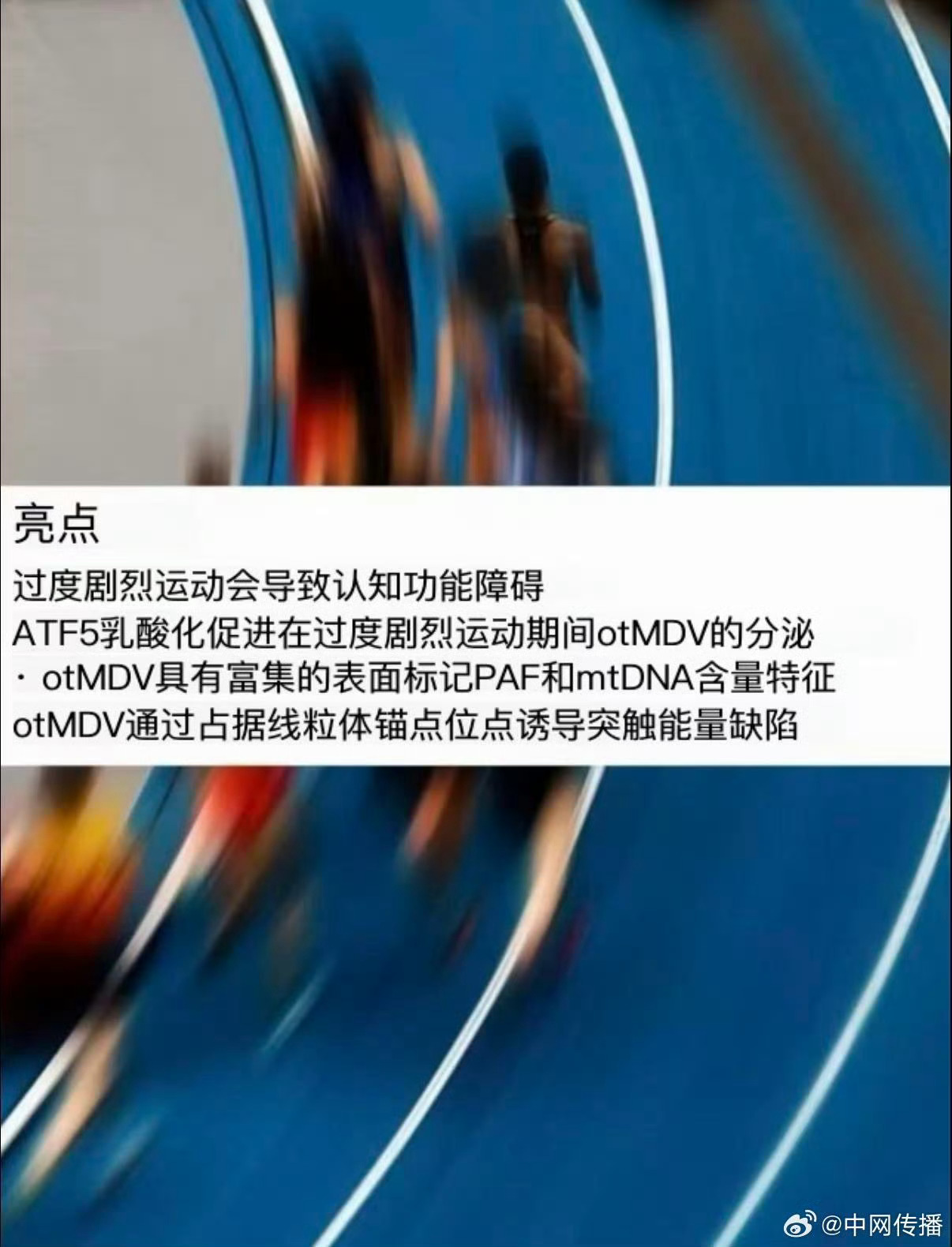 专家称过度运动会导致大脑反应变慢专家科普，运动需把控合理强度，长期超负荷锻炼会让