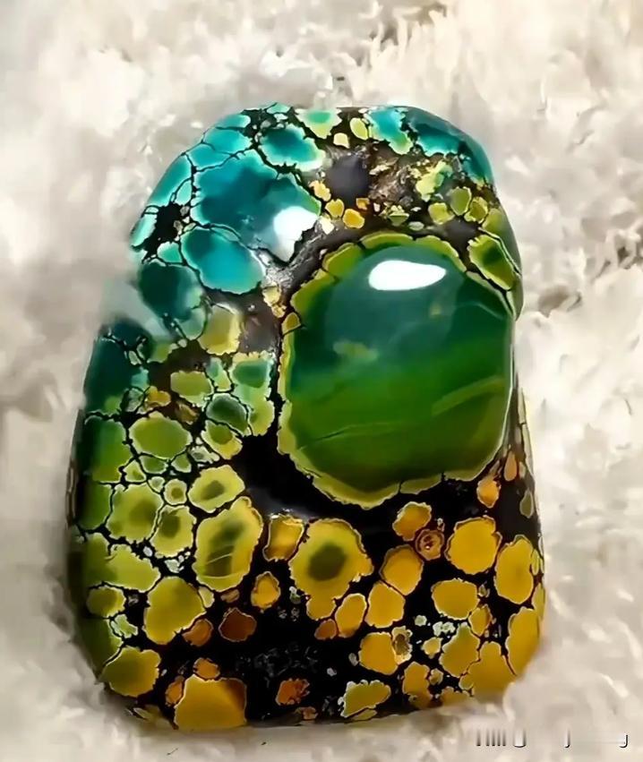 总有人困在过去，陷在过去的泥潭里：

为曾经的选择、
错过的机会懊悔不已。

有