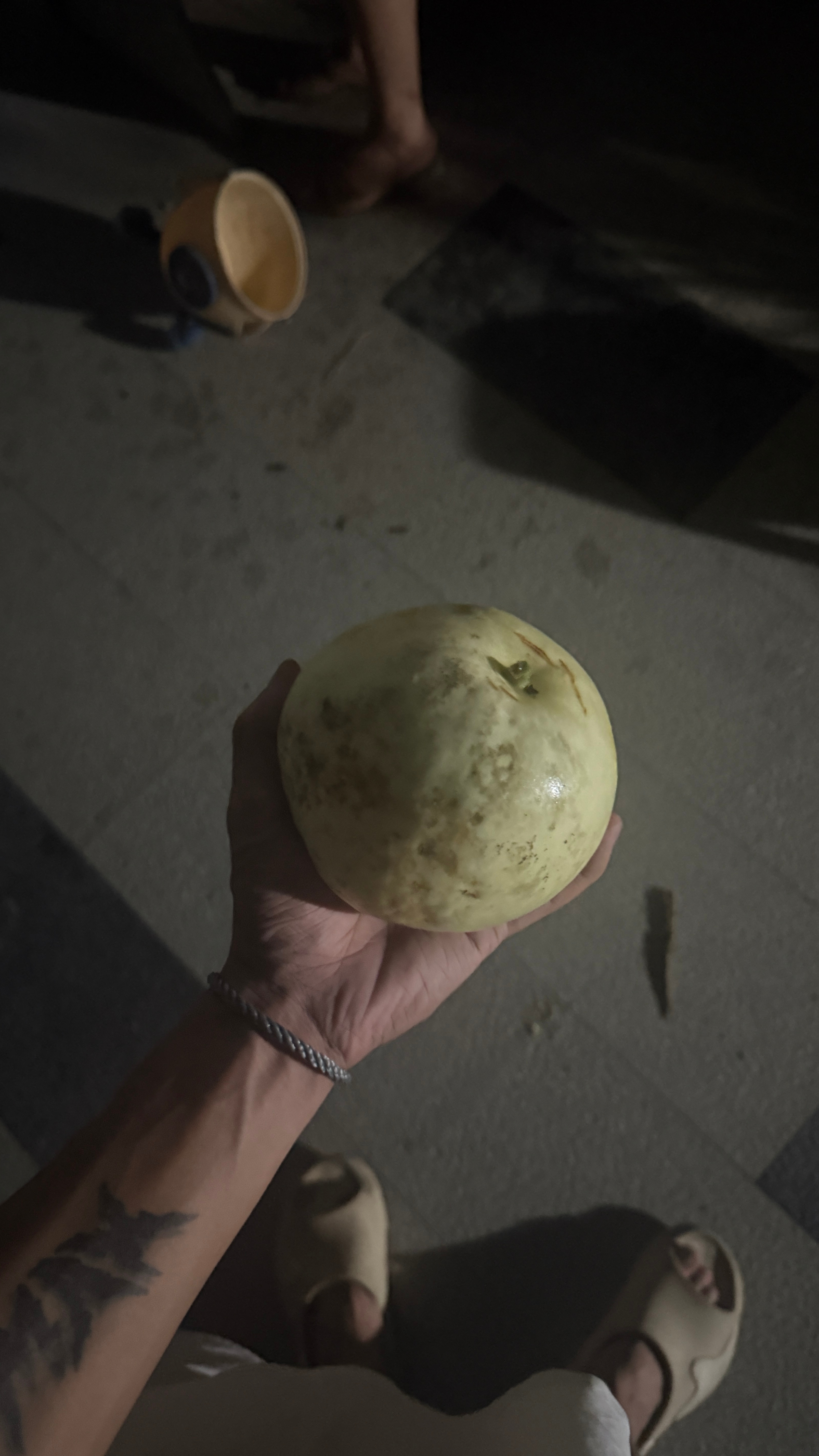 邻居阿姨给了我一个甜瓜。 