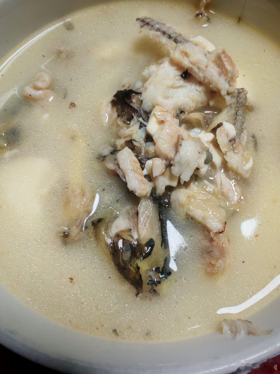 今天煲昂刺鱼豆腐汤