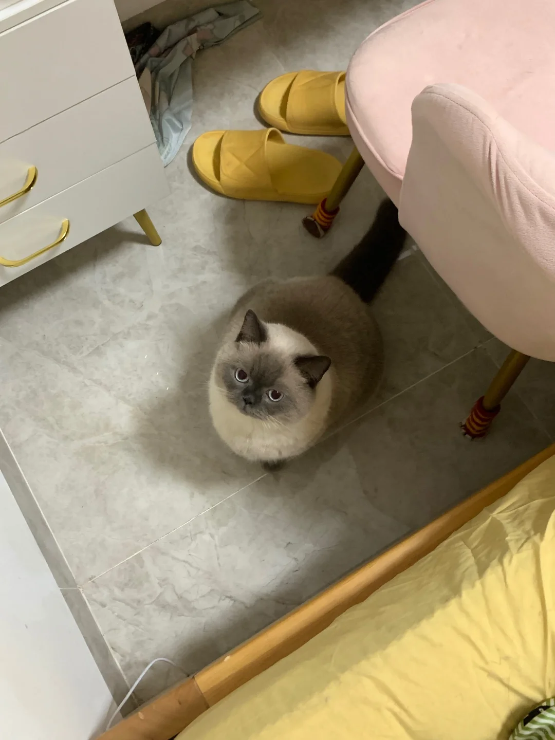 没洗脸不让上床