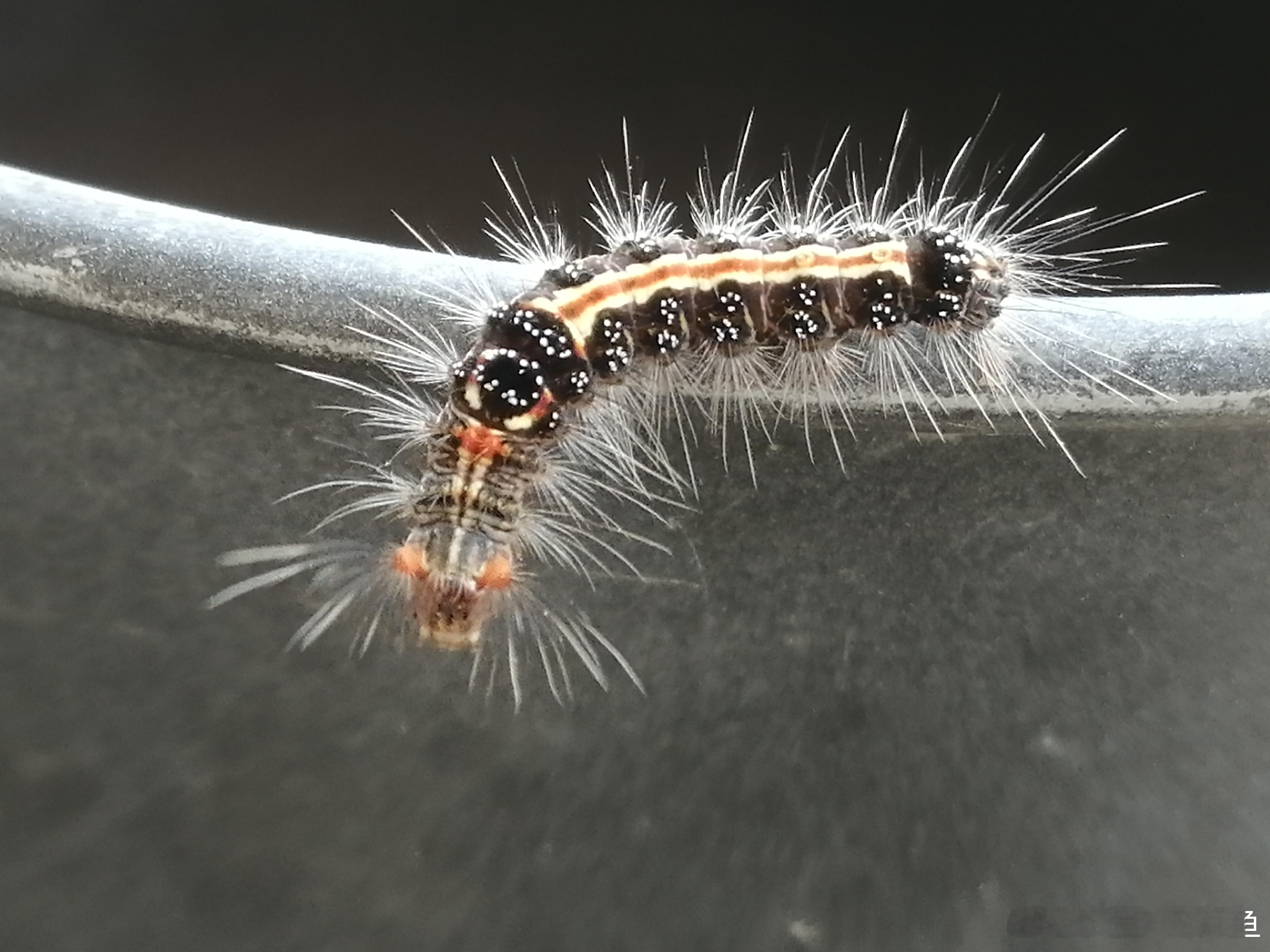 生活手记你从哪里来，要往何处去？你是什么种？ 