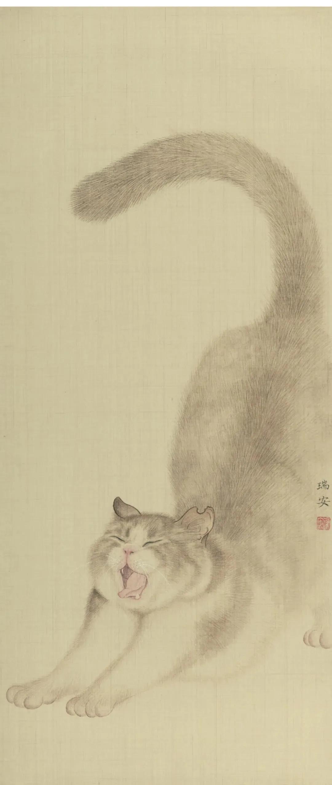 大懒猫 我喜欢