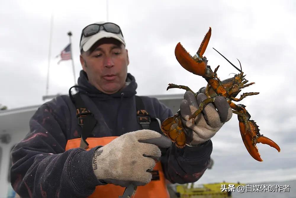伊朗战事胶着，美国五角大楼却曝出奢靡挥霍的离谱行径，纽森直言痛批，这般拿着公共资
