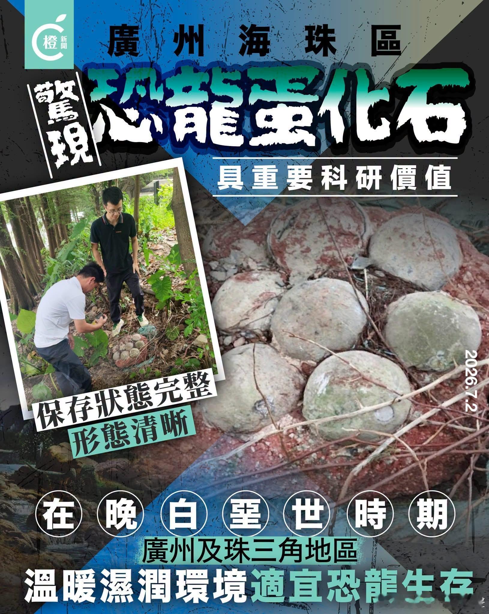 有啲咁嘅樹？🤔广州身边事 广州