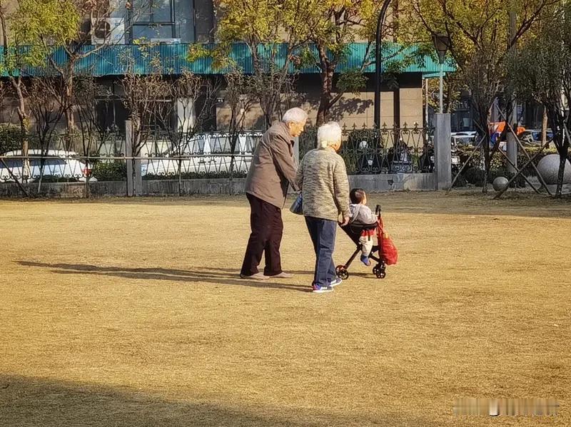 晚年生活不必强求天伦之乐，幸福源于内心的自在。闲时去公园与老友对弈，晨起打太极强